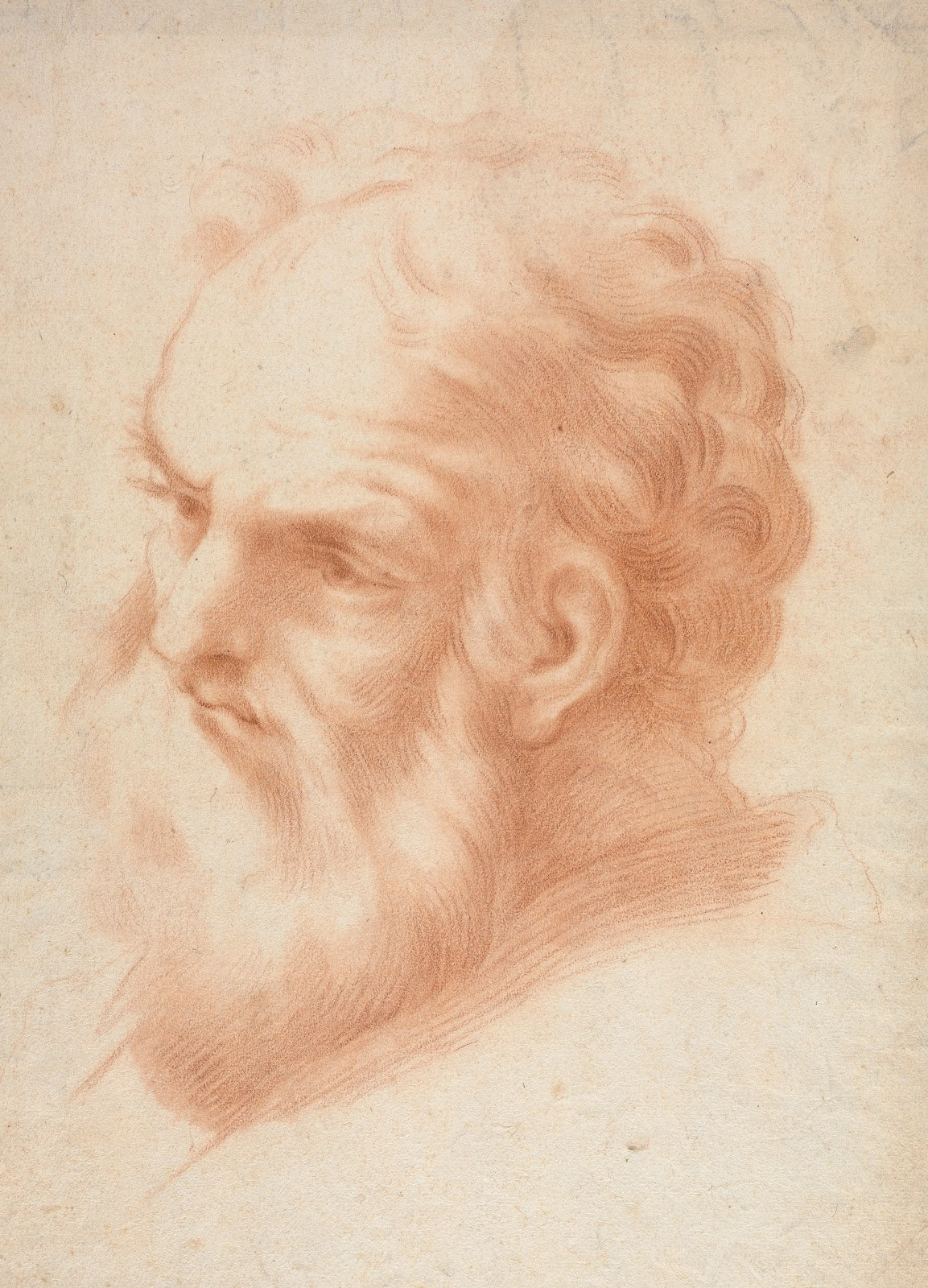 Head of an Old Man 1700s