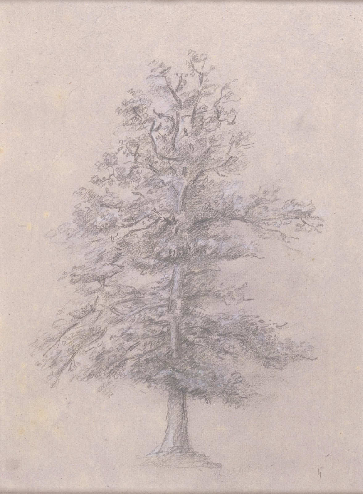 Tree Study 1825