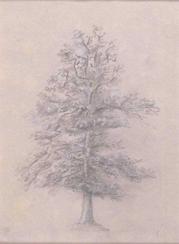 Tree Study 1825