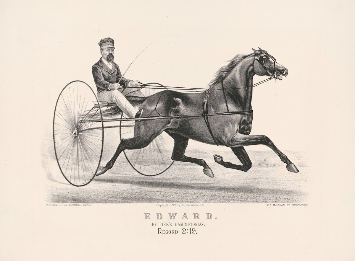 Edward by Fisks Hambletonian 1879