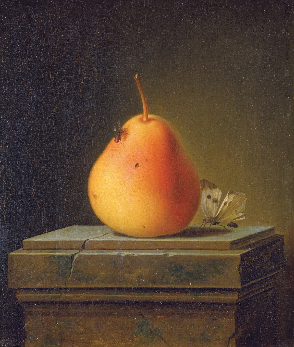 Still Life With Pear And Insects 1765