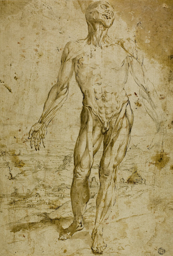 Écorché before Landscape