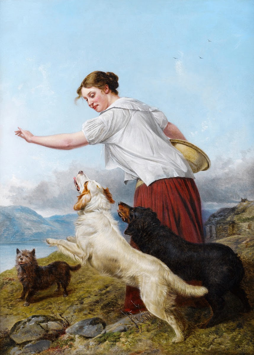 A highland walk