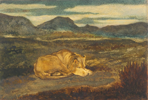 Lion Endormi