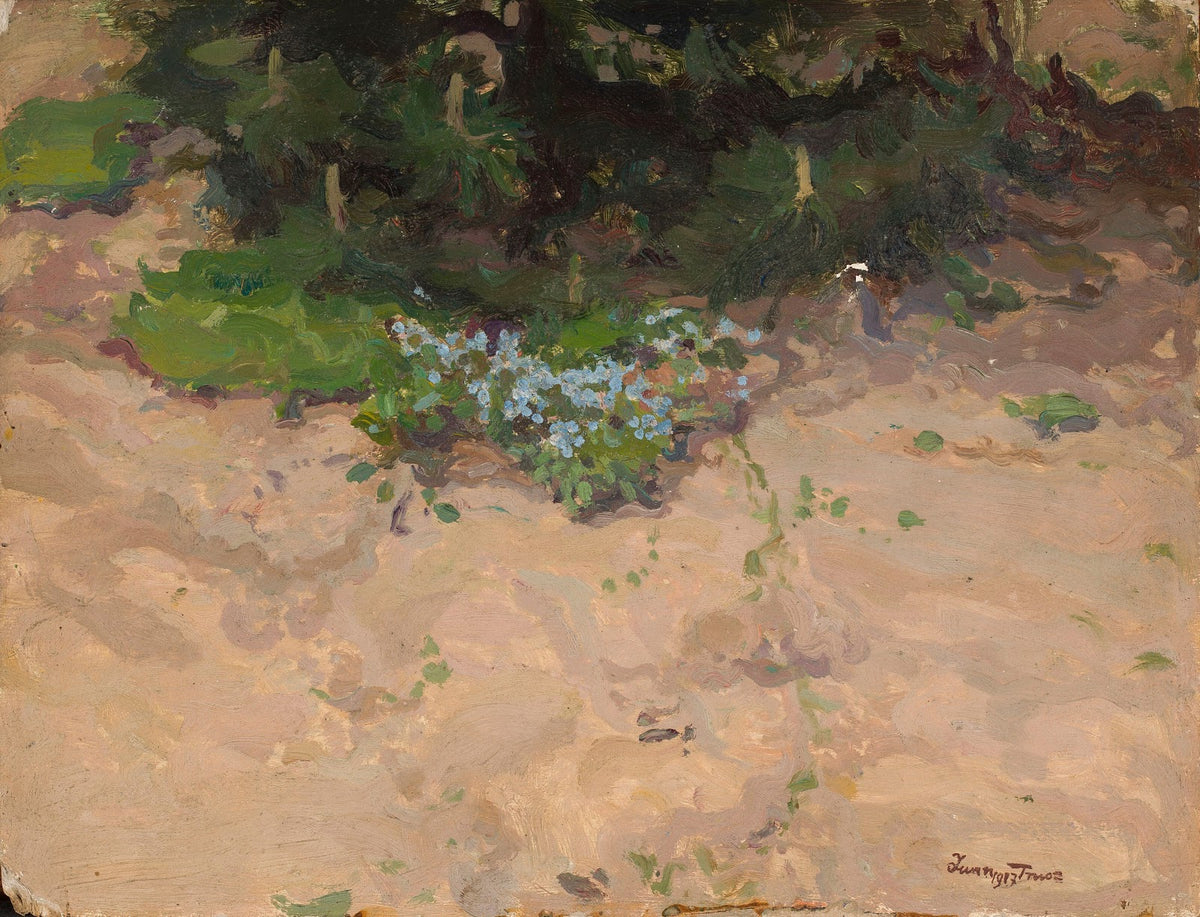 Forget me nots 1927