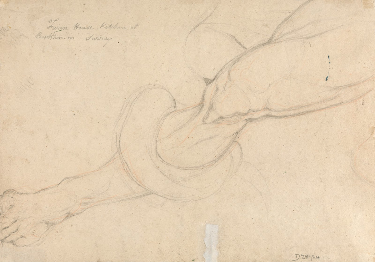 Study of a mans leg