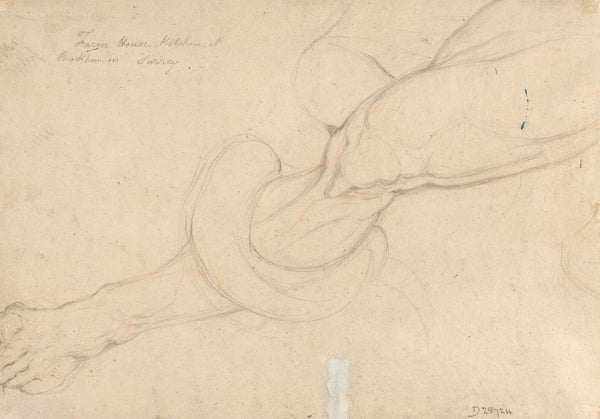 Study of a mans leg