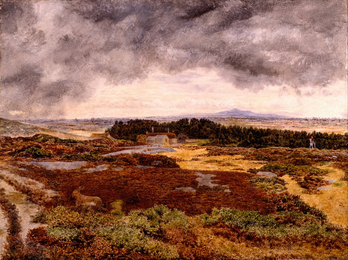View from Bidston Hill between 1856 and 1865