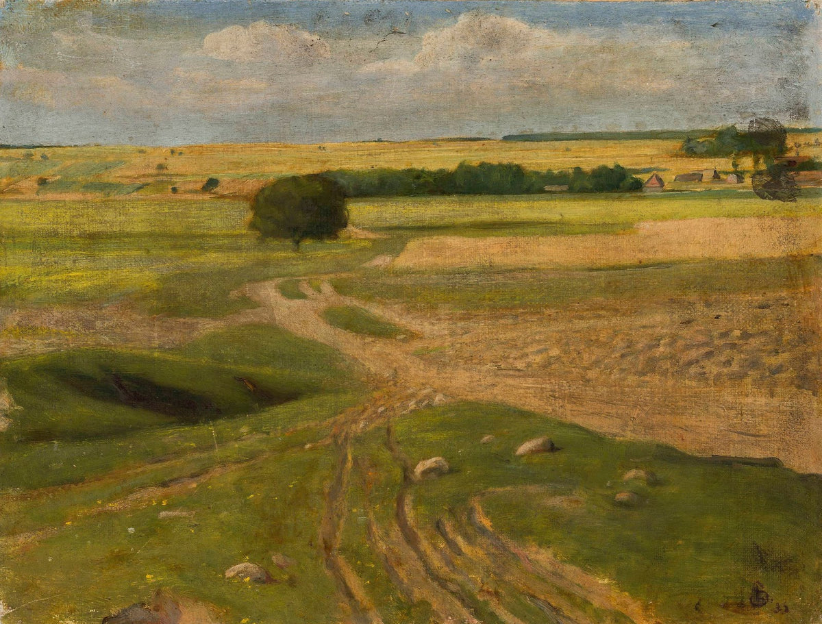 Landscape of fields 1899