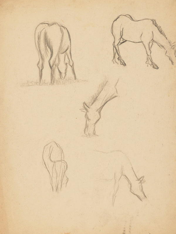 Études danimaux de paysages et de modèles