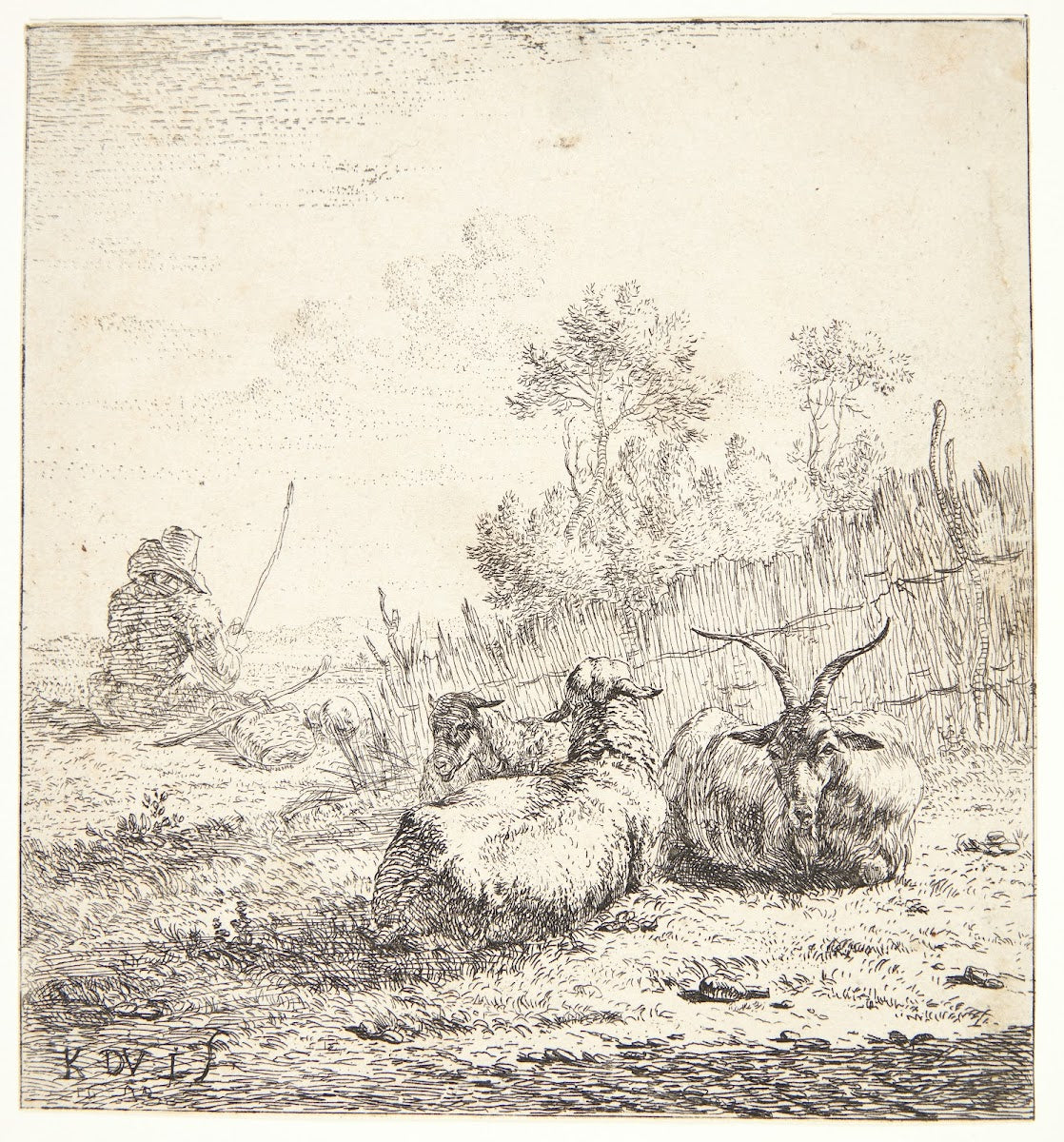 To får og en ged 1653