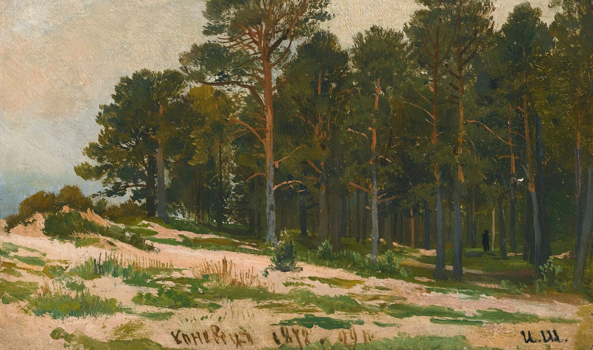 Pine Forest 1872