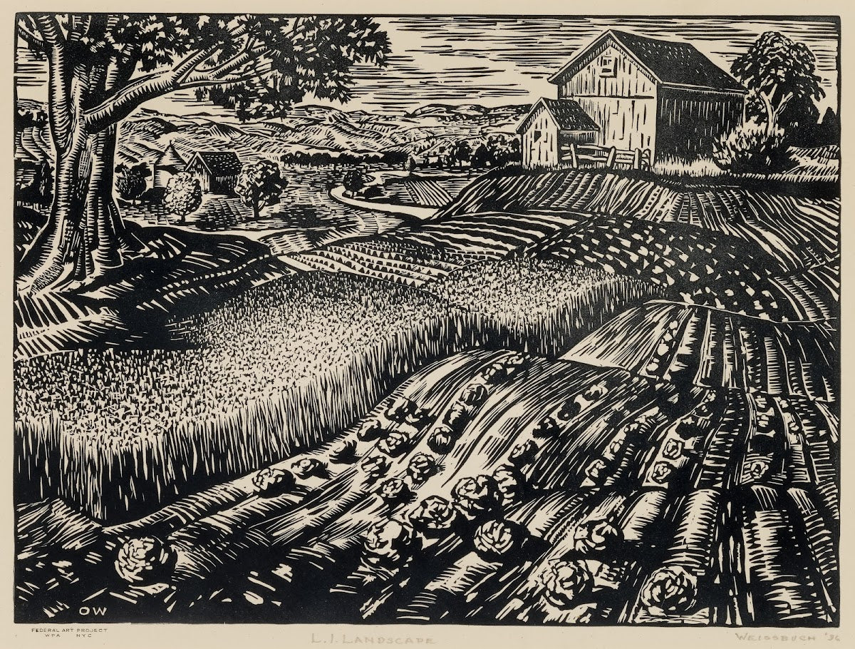 LI Landscape