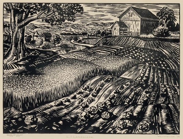 LI Landscape