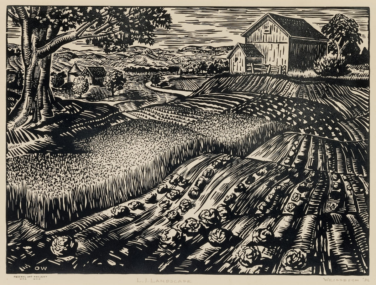 LI Landscape