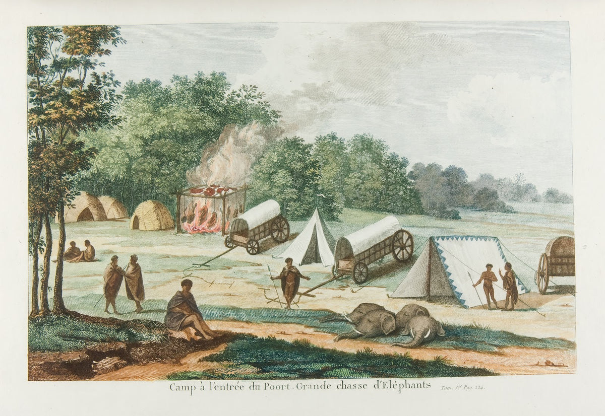 Camp a lentree du Poort Grande chasse delephants 18th century