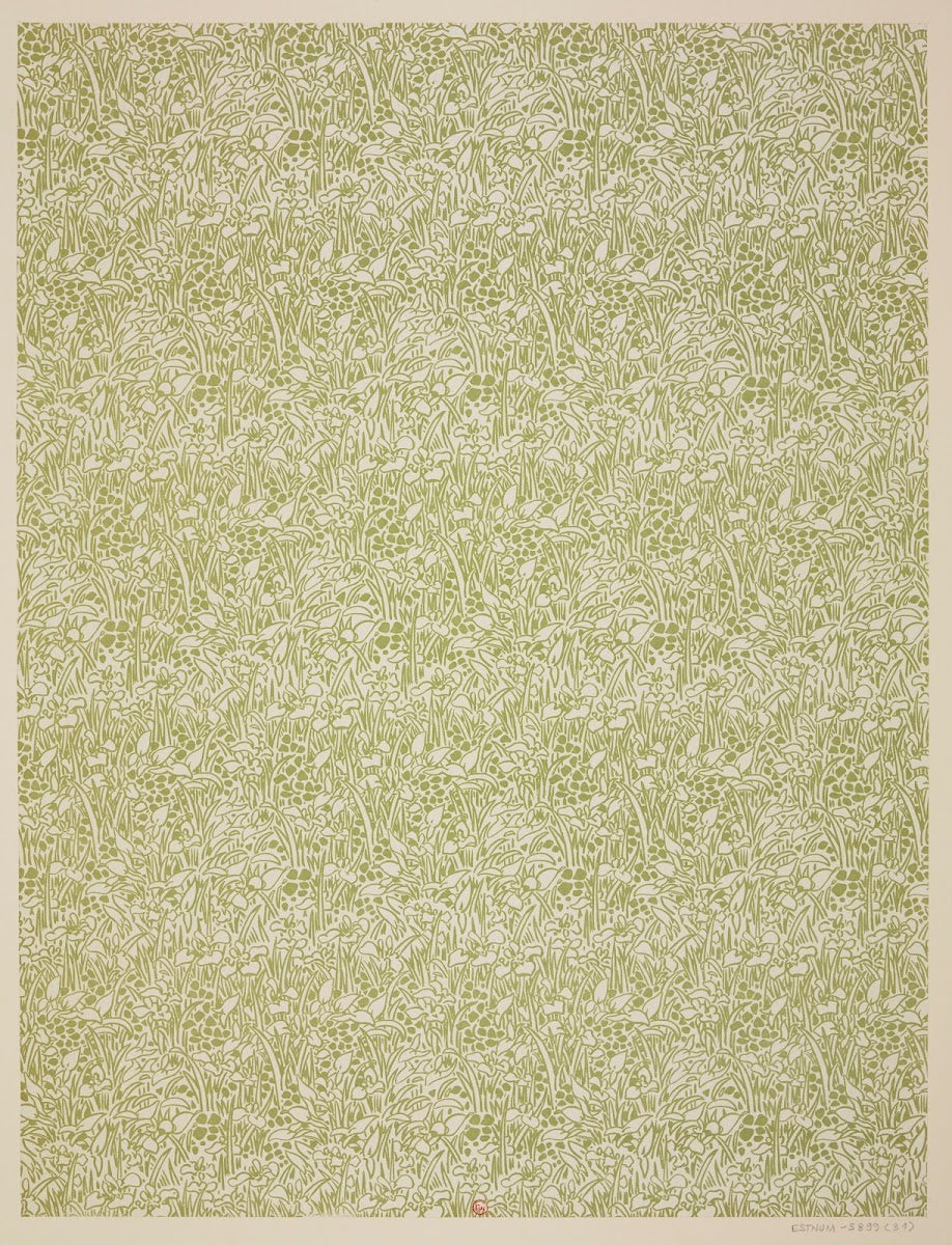 Ensemble de papiers de garde pour Eugène Verneau Pl31 1913 1923