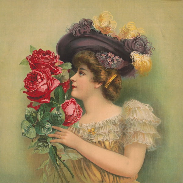 Roses 1905