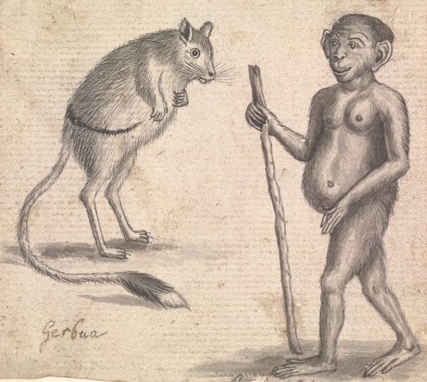 Monkey ca 1760