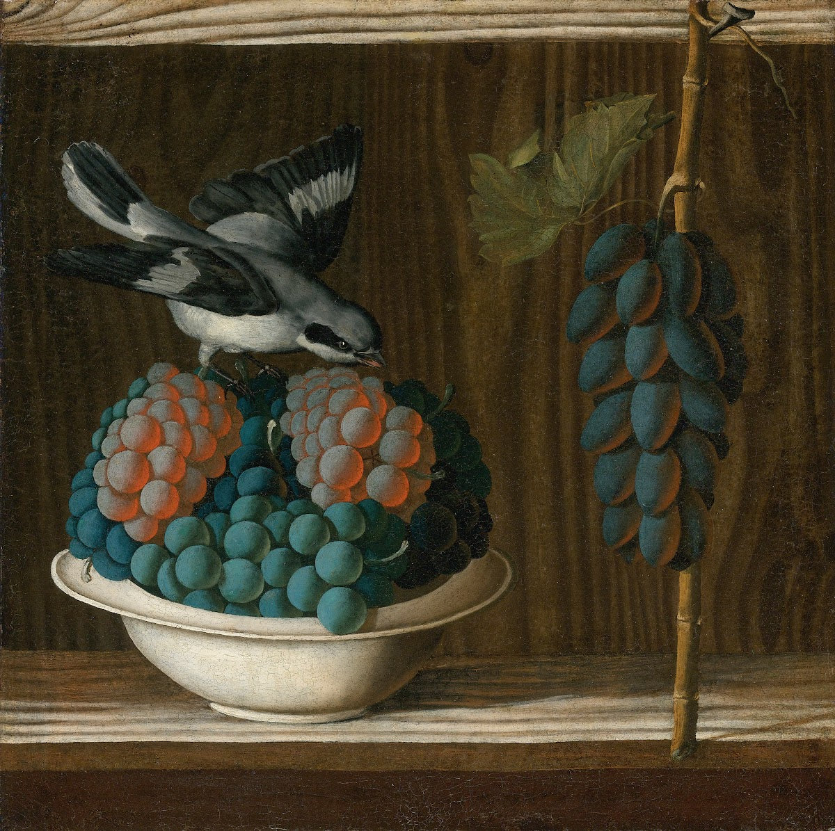 Still Life Of Grapes With A Gray Shrike