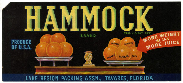 Hammock Brand Citrus Label 1930 1950