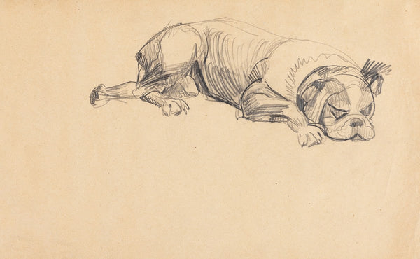Sleeping dog 20th century
