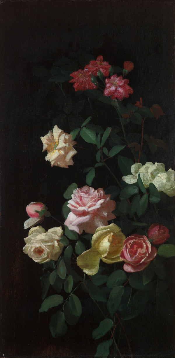 Roses 1872