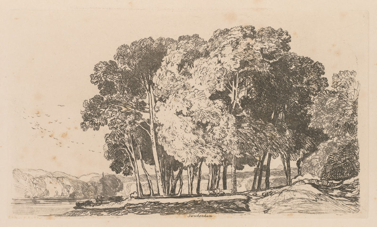 Trees near Twickenham 1838