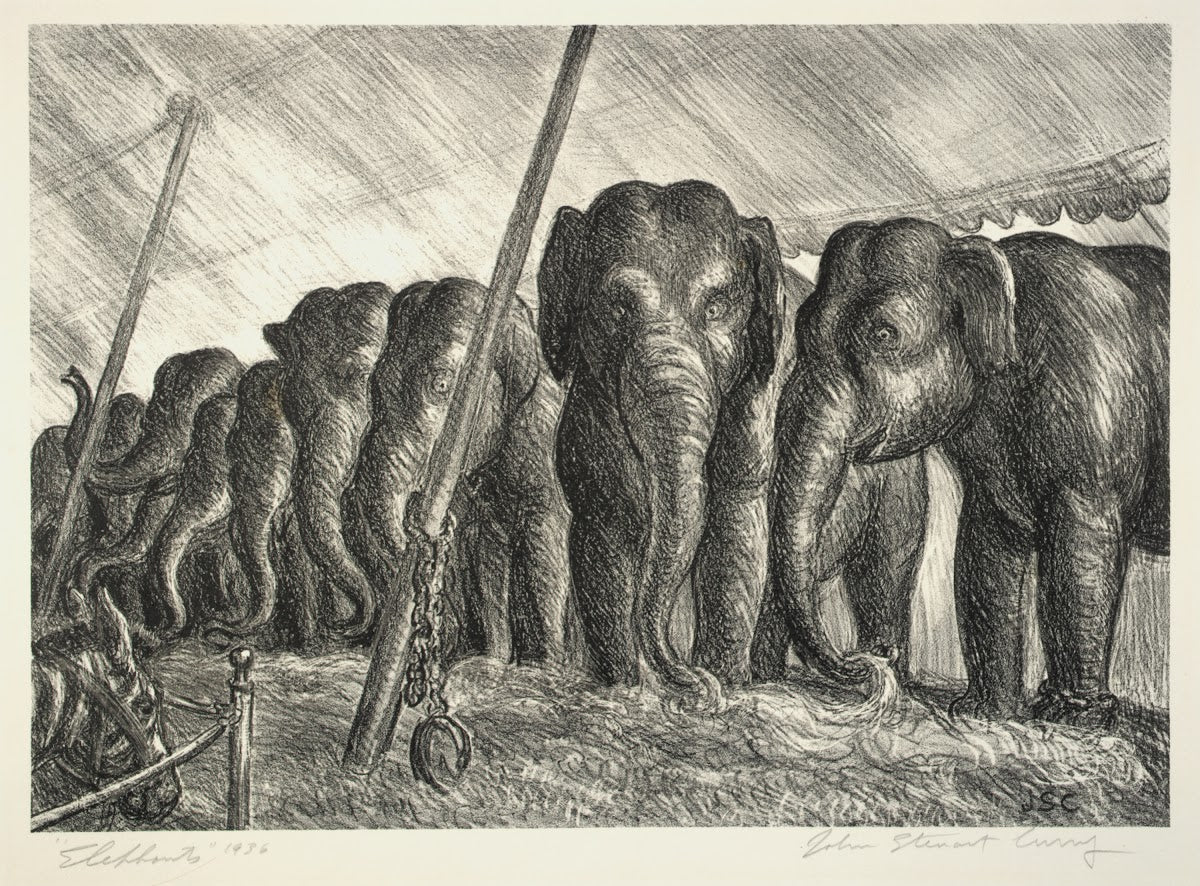 Circus Elephants 1936
