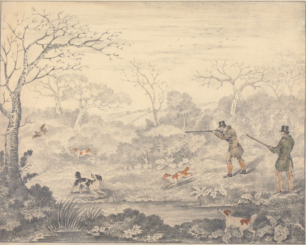 Woodcock Shooting