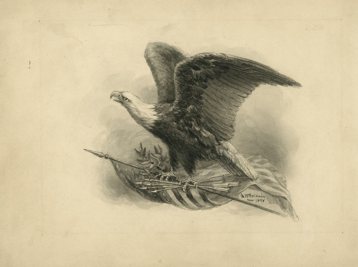 American eagle 1898