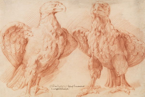 Eagle Two studies of an antique sculpture front view half turned to the right an