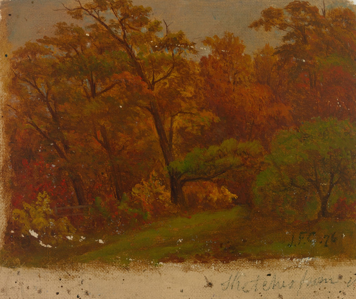 Untitled 1876