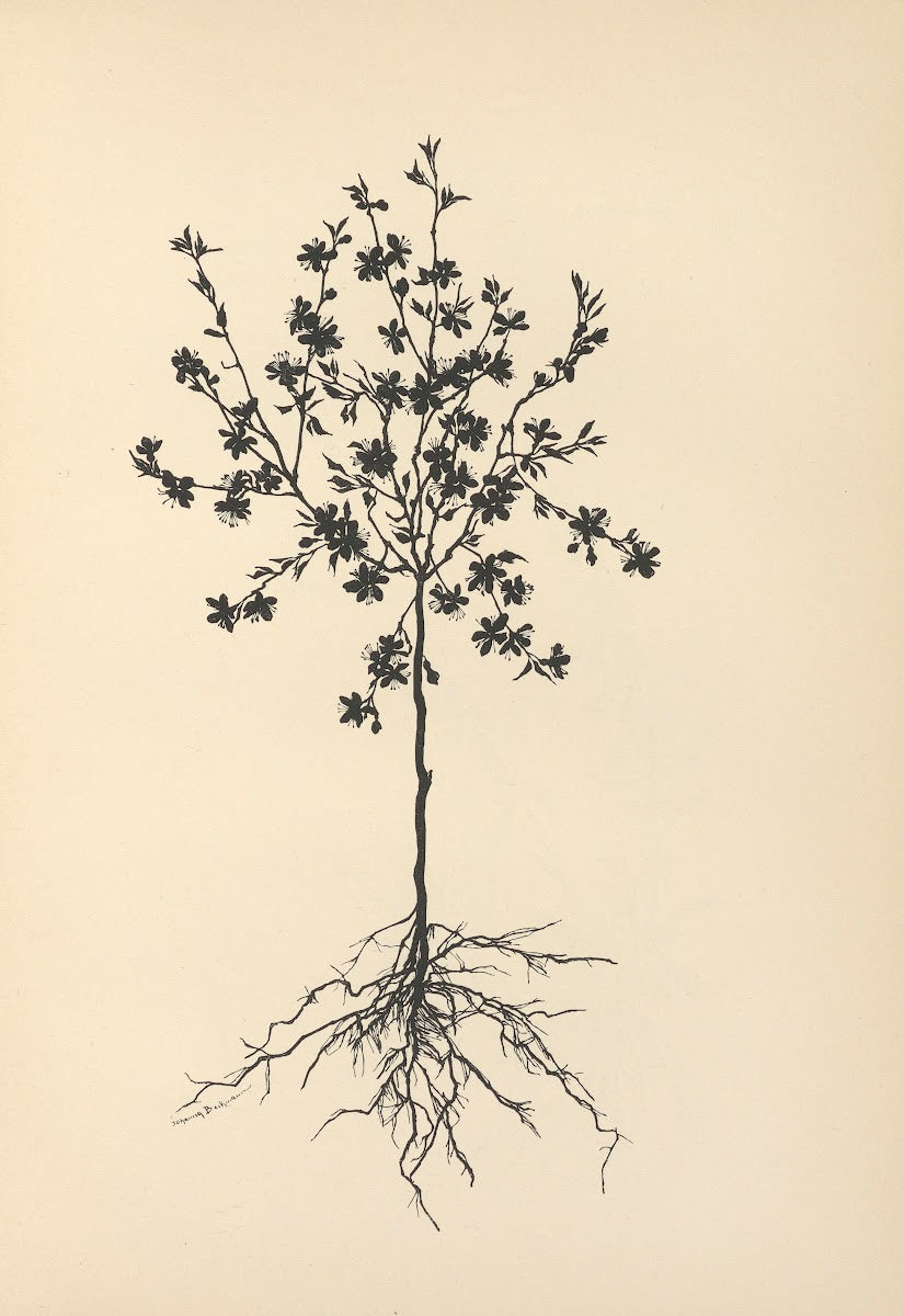 Vom Zufrieden Werden Pl12 1932