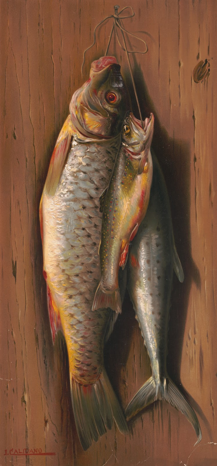 Pride of the water 1897