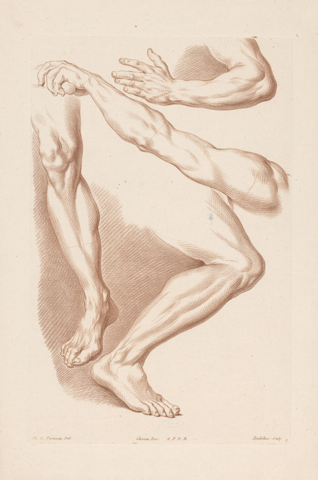 Two legs and two arms 1749 1849