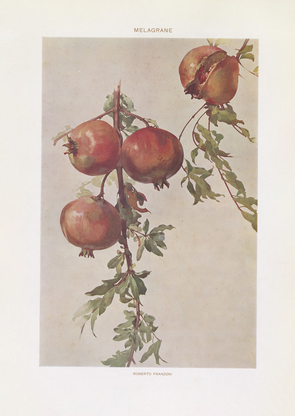 Modern decorative art Vol I Pl12 1910
