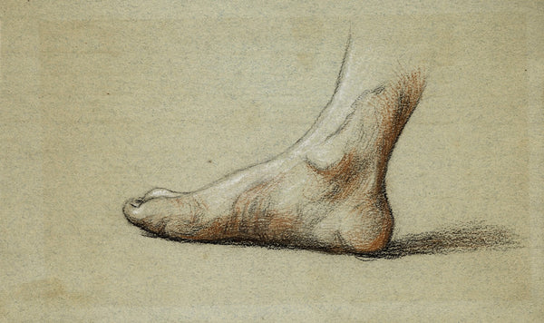 Etude anatomique Pied droit à plat profil gauche