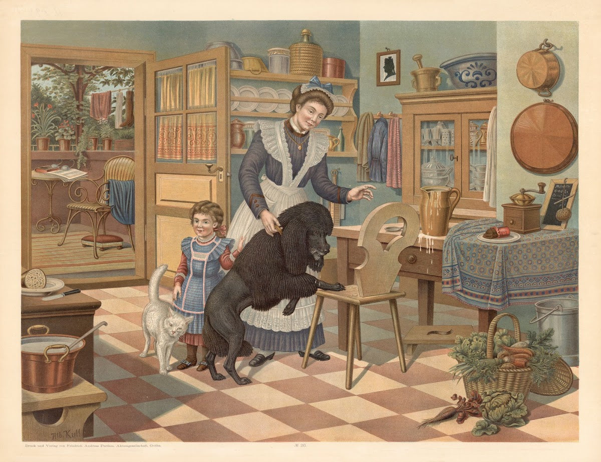 Poodle 1880