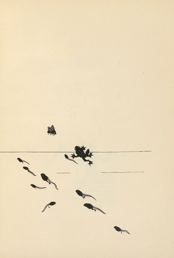 Von Steh Männchen und Gründlingen Pl17 1926