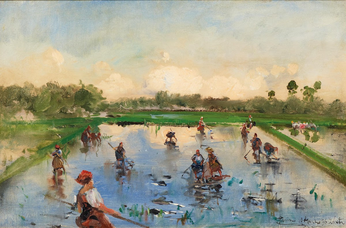 In the Rice Field Zelata 1896