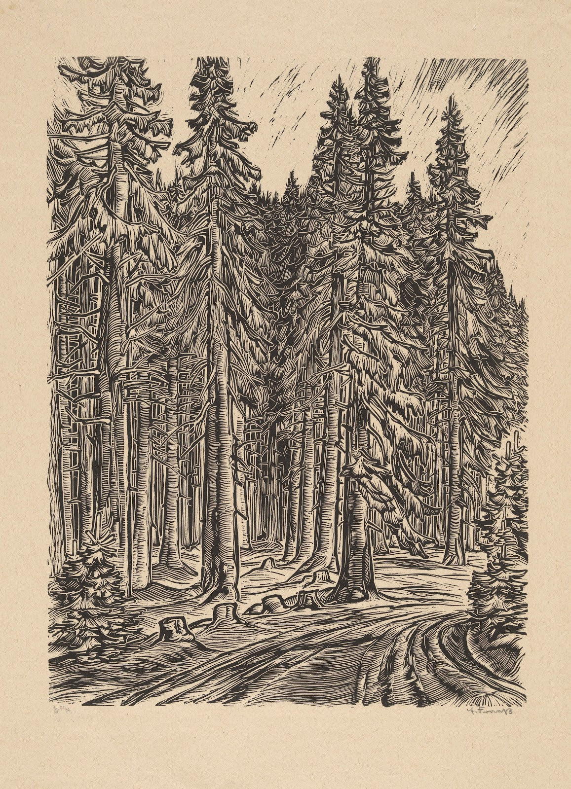 Road through Spruce Forest 1931