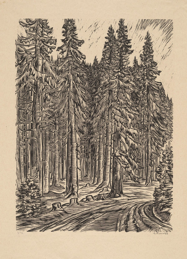 Road through Spruce Forest 1931