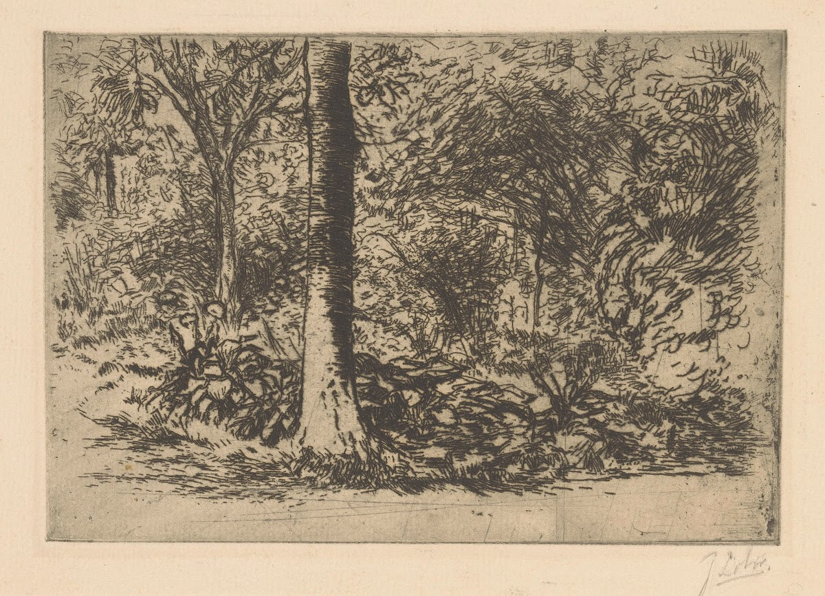 Forest edge 20th century