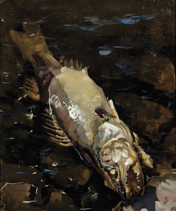 Decaying Sander 1884
