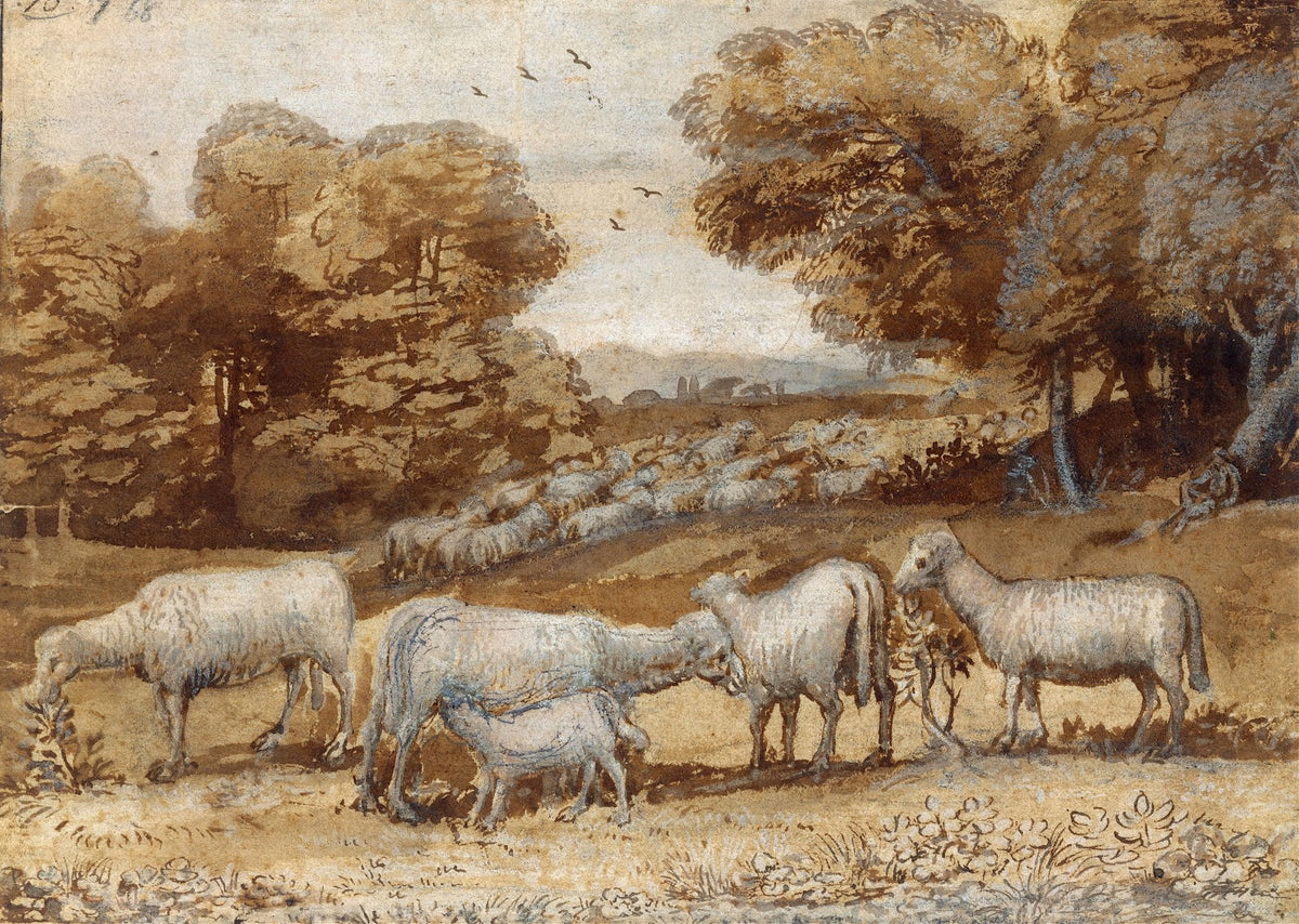 Landscape with Sheep ca 1648