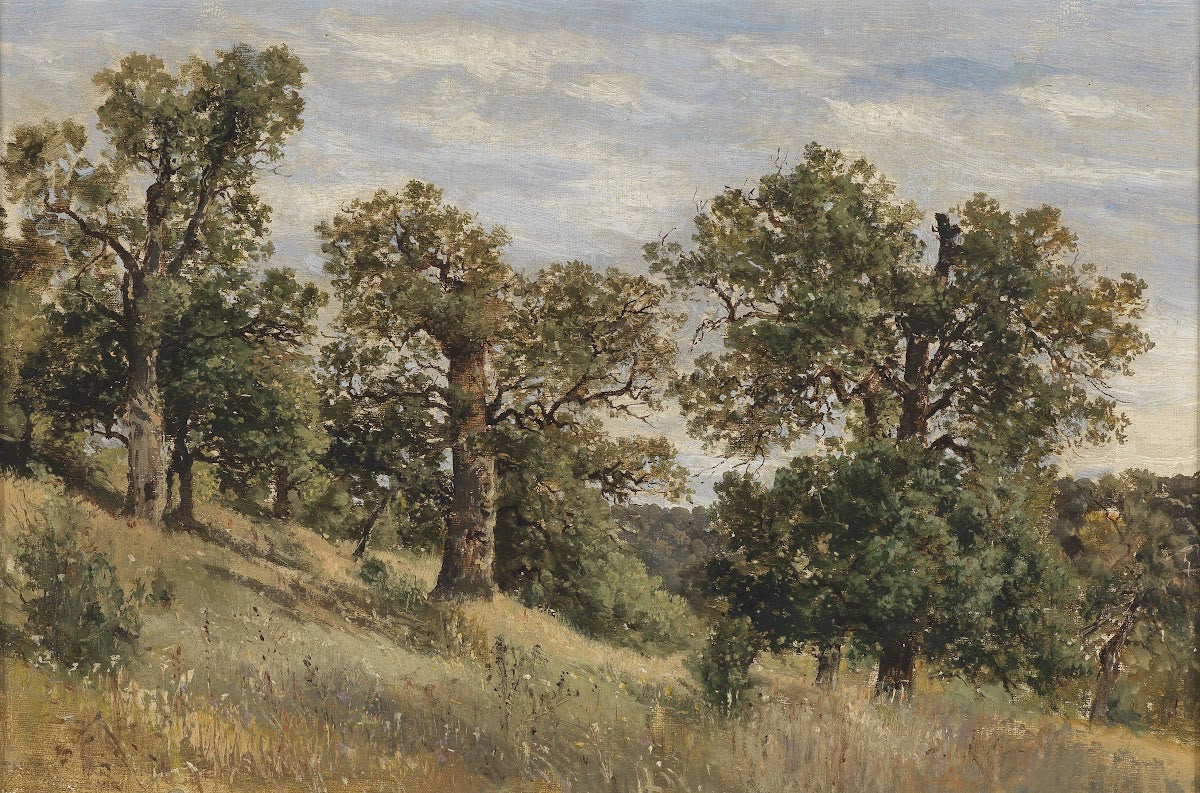 Berghang mit Baum