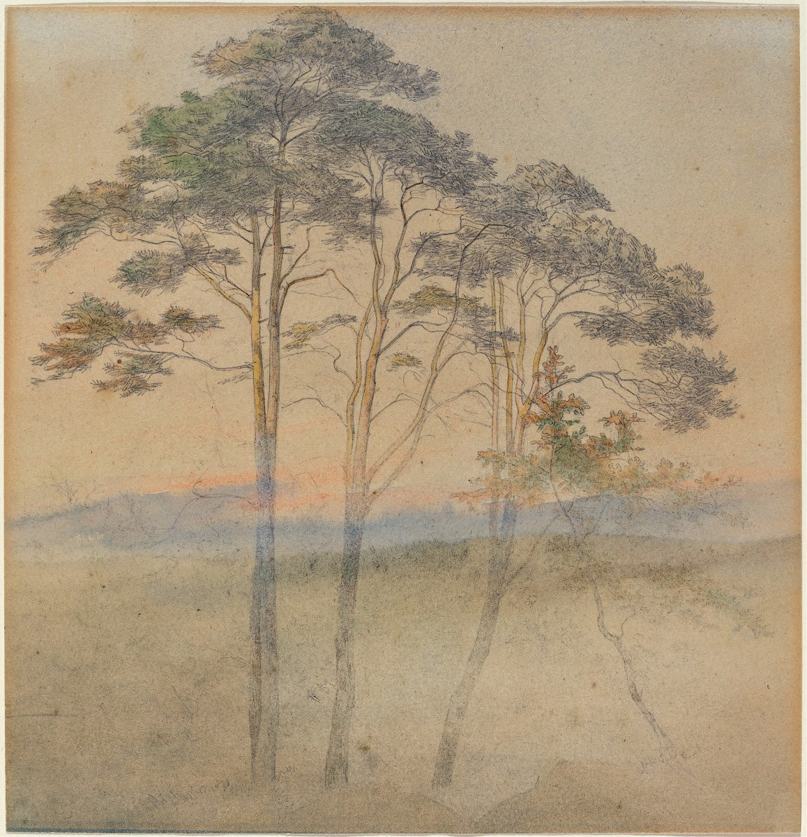 Pines in a Morning Fog 1830s