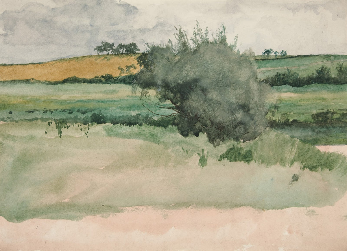 Landscape Fields