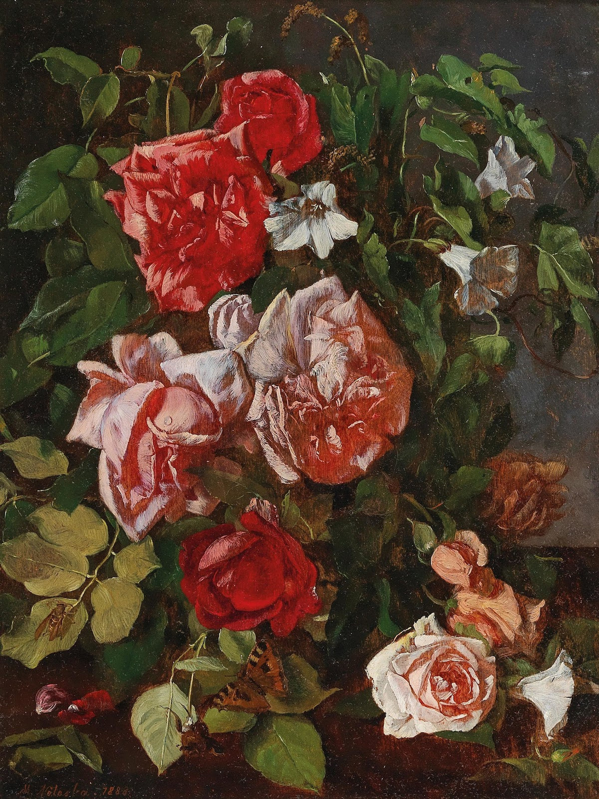 Roses 1888